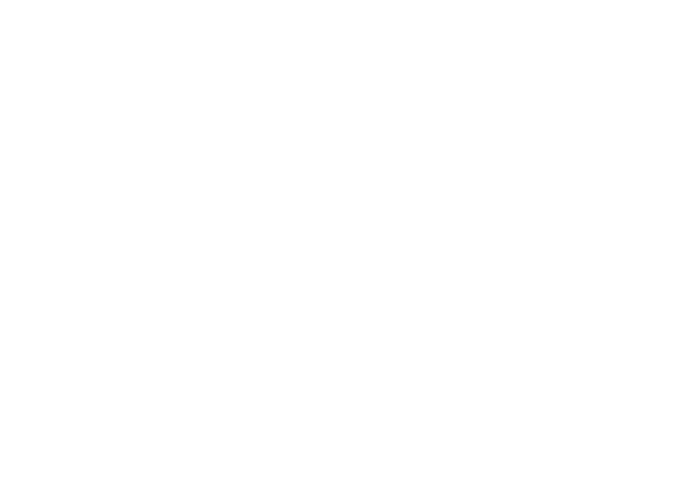 ZIB logo